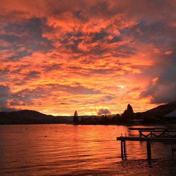 Meet your Posher, Andrew - Picture 1 of 1